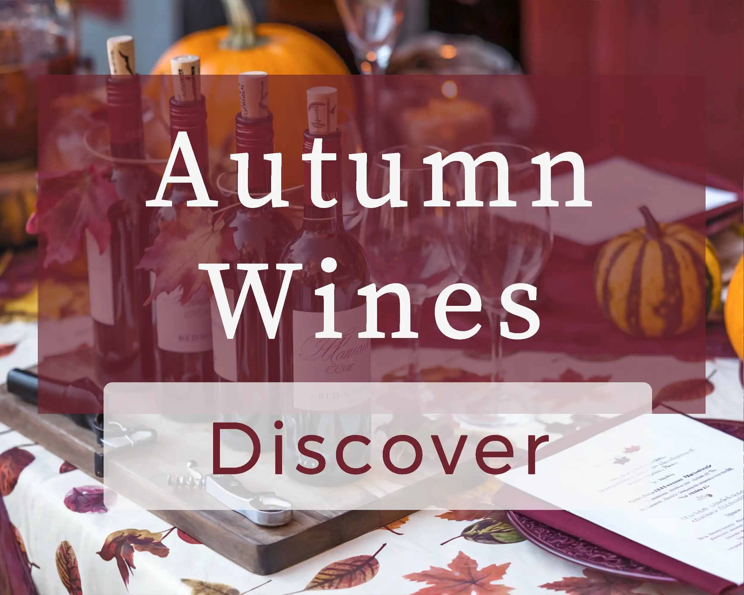 Autumn Stew Wines